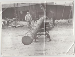 Billeder uden navne 001