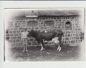 Billeder uden navne 003